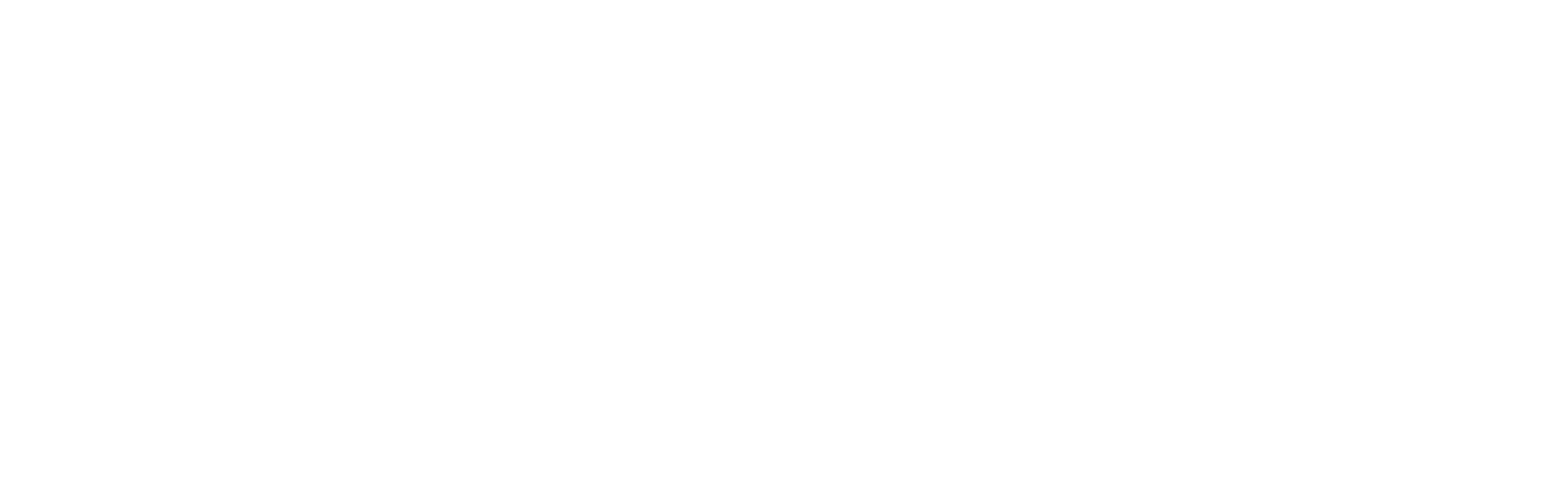 VICEM